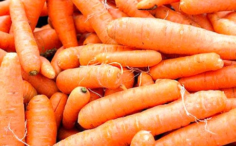 快乐地拔胡萝卜作文