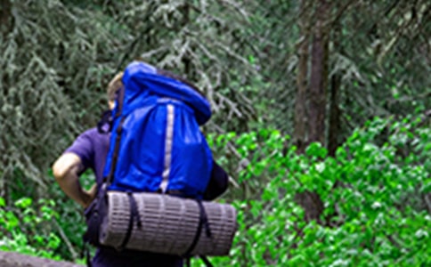 爬山的启示四年级作文范文