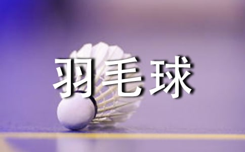 打羽毛球小学叙事作文400字
