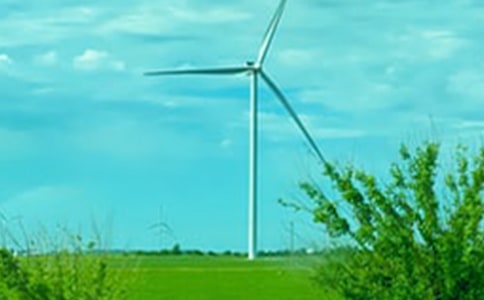 遇见春风里最美的微笑作文