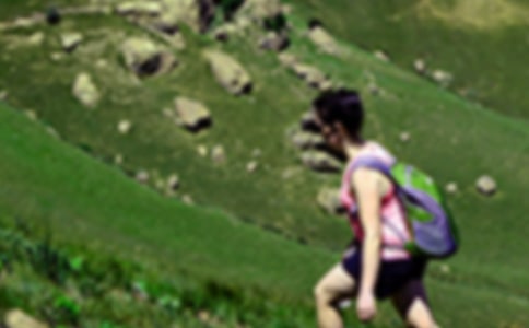 爬山冒险小学生作文