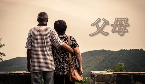 父母之爱的高三作文600字