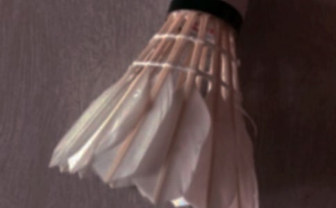 暑假之羽毛球大赛550字作文