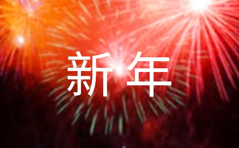 新年的乐趣作文