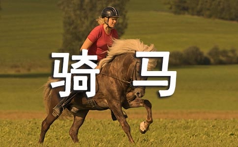 第一次骑马的作文