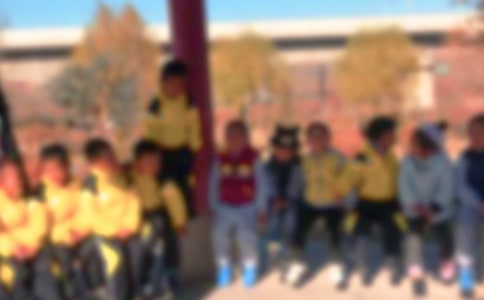 秋游之韩美林艺术馆作文600字