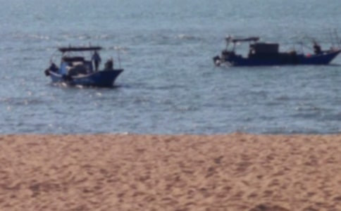 厦门鼓浪屿之旅作文