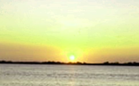 花儿不能在中午浇水小学作文