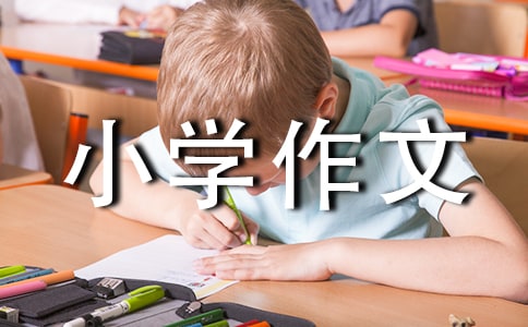 槐树小学作文450字
