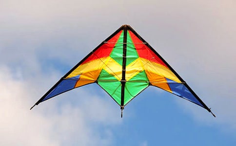 菜鸟放风筝优秀作文