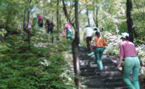 爬山五年级500字作文