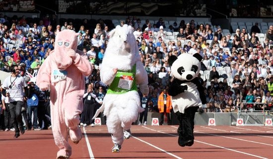 记事作文：运动会