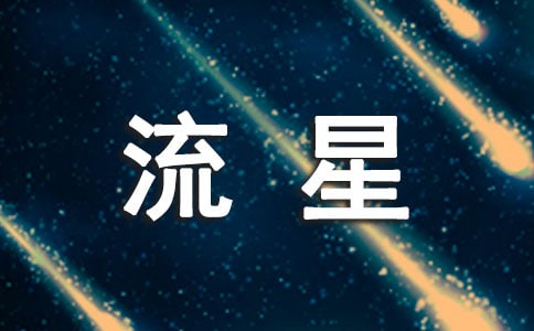 第一次看到流星作文
