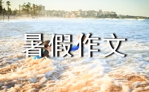 参观青岛中国海军博物馆初中暑假作文500字