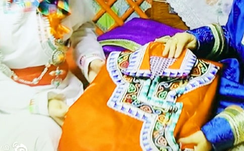 蒙古族习俗的精选优秀作文