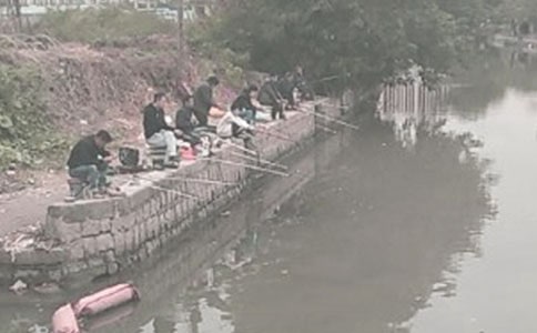 钓鱼记优秀作文4篇