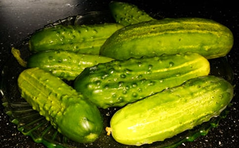 那只叫小黄瓜的猫800字作文