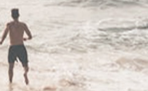 夏季的景变化了作文