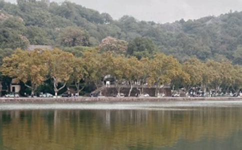 扬州瘦西湖游记叙事作文