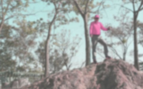 雨中登山五年级作文