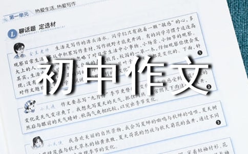 第一次去乡下初中作文