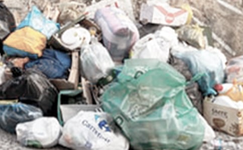 垃圾桶的烦恼小学作文