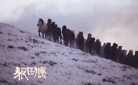 我与《狼图腾》四年级作文400字