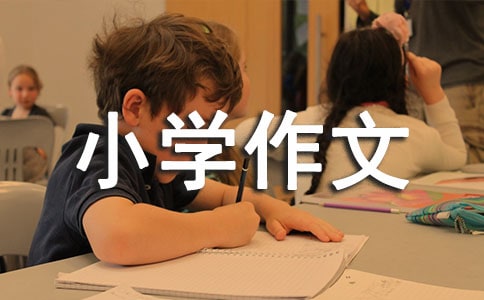 最难忘的大年初一小学作文