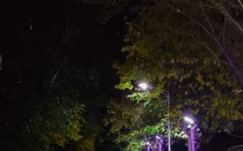 路灯下的感动初中优秀作文