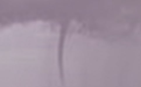 我的.龙卷风妈妈三年级作文