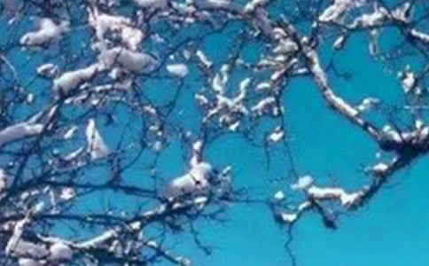 听冬天的声音作文950字