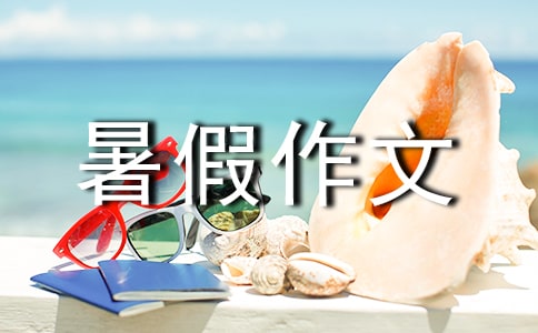 自由的暑假作文