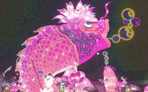 爱在梅花灯里闪耀作文