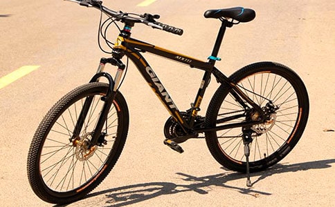 难忘第一次骑自行车作文