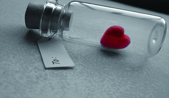 凋谢的爱情不朽的青春高中优秀作文