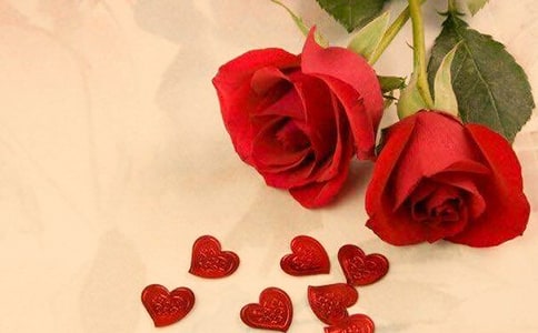 我种的玫瑰花成功了作文