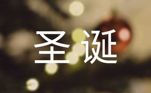 快乐的圣诞节初中作文600字