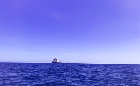 美丽的大海初二作文350字