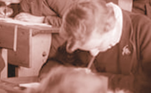 中学生的好词好句好段精选