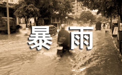 在烈日和暴雨下的优美段落