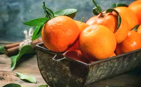 赞美橘子的优美段落