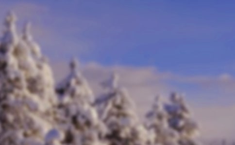 描写冬天雪景的优美段落