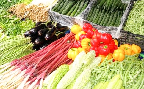 描写蔬菜的优美段落