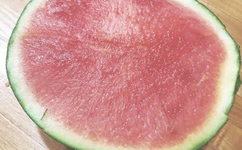 关于夏日的好词好句好段