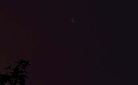 2025年晚安的语录集合40句