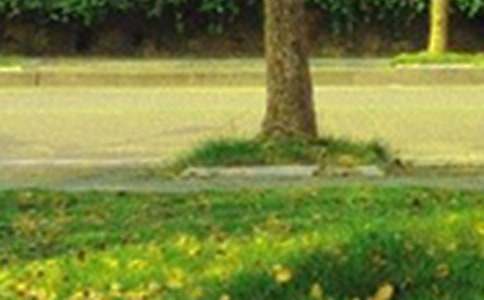 关于个性早安签名汇总（精选115句）