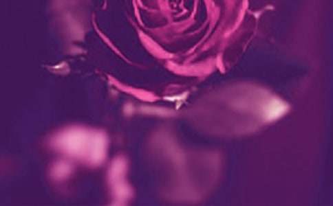 浪漫个性签名40句精选