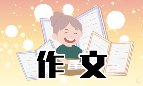圣诞节晚会活动学生作文 2021圣诞节晚会活动学生作文最新10篇