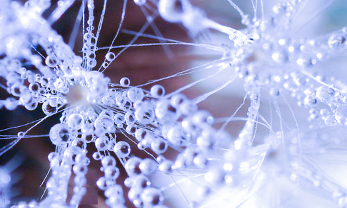 教师节送老师礼物注意事项_适合教师节的礼物