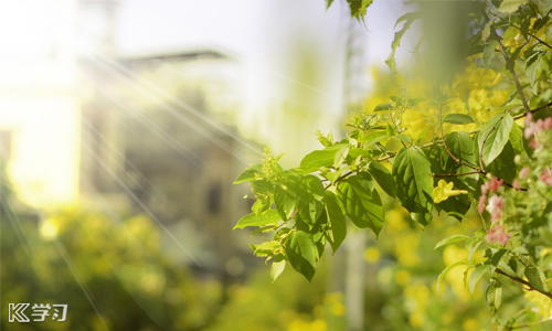 国庆去哪玩_首批国家全域旅游示范区名单